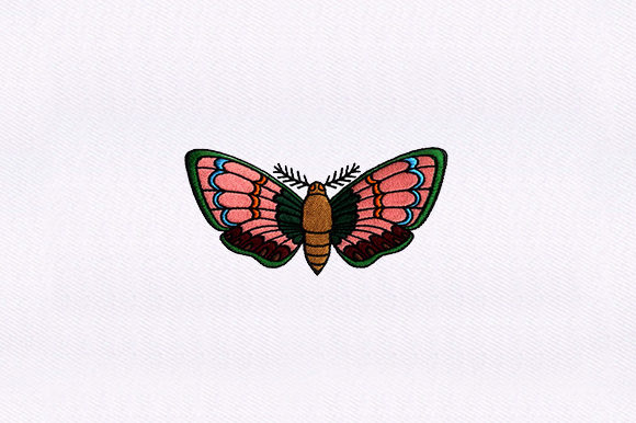 Explore the Elegance of Detailed Moth Design